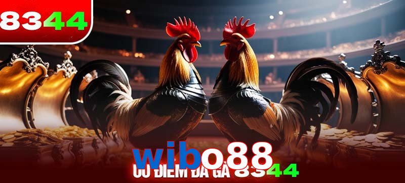 Thể loại đá gà wibo88 được ưa chuộng